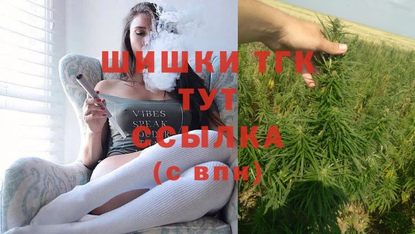 сатива Липки
