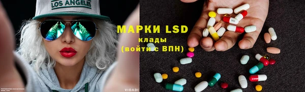 сатива Липки