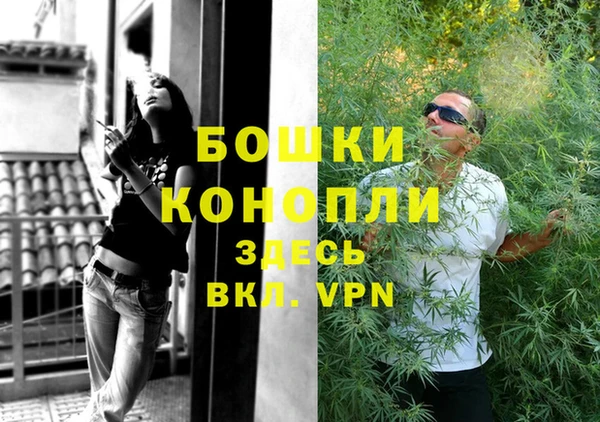 сатива Липки