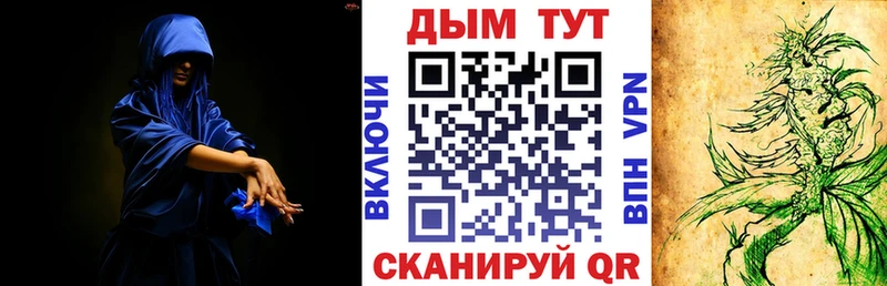 Шишки марихуана OG Kush Узловая